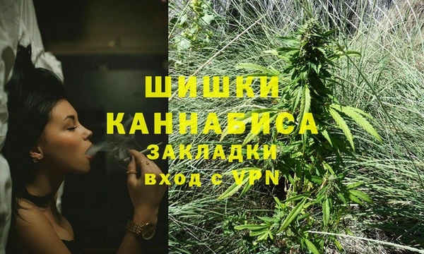 винт Мегион