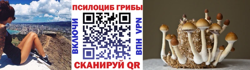купить наркоту  Калач-на-Дону  Псилоцибиновые грибы мухоморы 