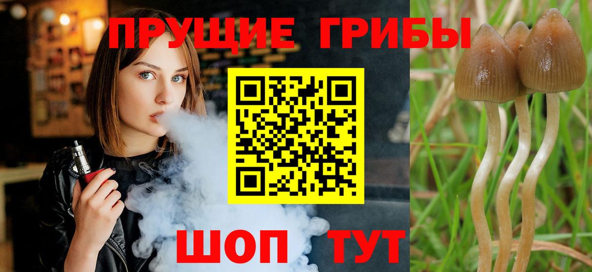 Псилоцибиновые грибы мицелий  Псилоцибиновые грибы Psilocybe  купить наркотики цена  Вход с VPN  Калач-на-Дону 